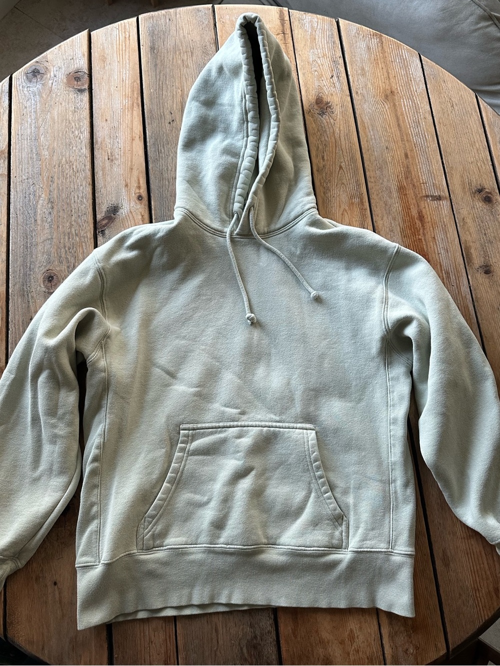 Aritzia TNA Cozy Boyfriend Hoodie in Sage Green